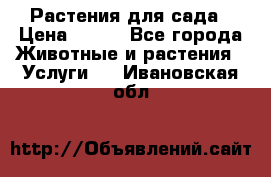 Растения для сада › Цена ­ 200 - Все города Животные и растения » Услуги   . Ивановская обл.